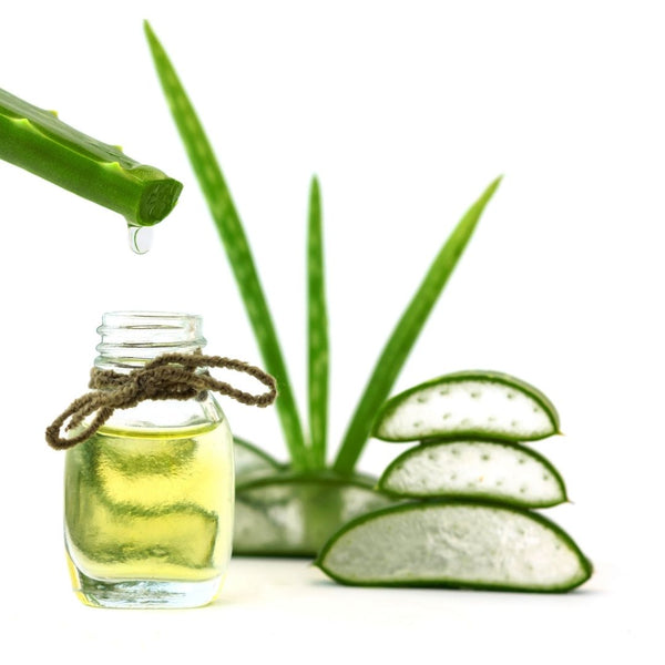 Why Use Aloe Vera for Your Skin & Hair